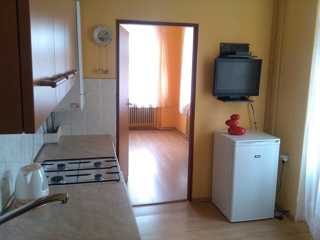 Pension Vidhous 1 Františkovy Lázně 객실 사진